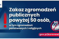 89722643_140323974147551_7752900175303016448_n