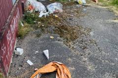 217858029_528059864913109_8541308163957545032_n