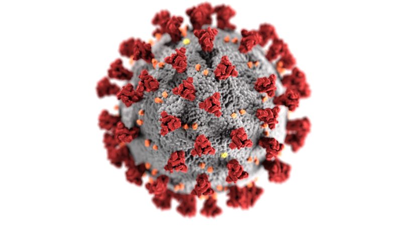 Organizacje pozarządowe w sytuacji epidemii.