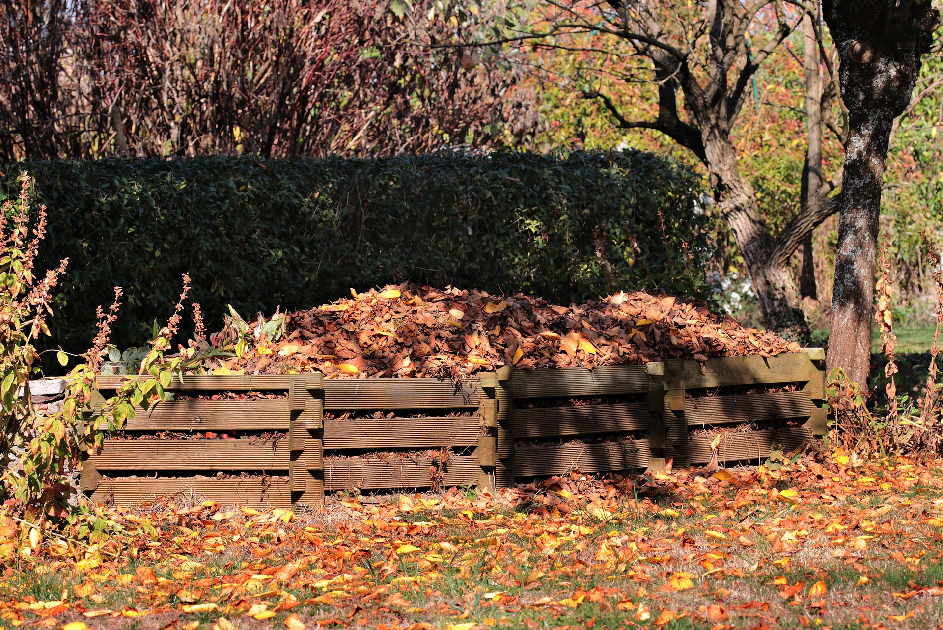 Mszana – ulga dla osób kompostujących bioodpady