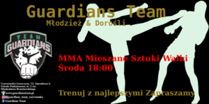 trening MMA